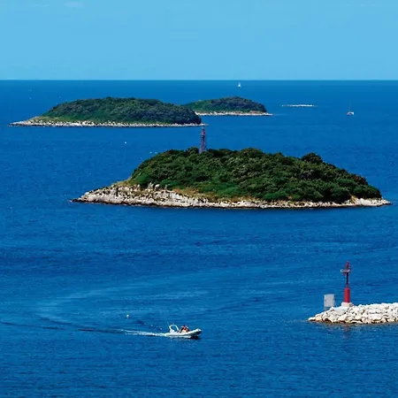 アパート Marie ヴルサル